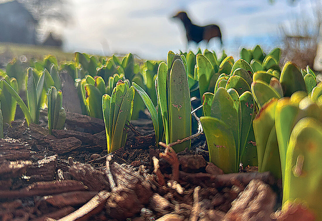 Picture This: Best Buds